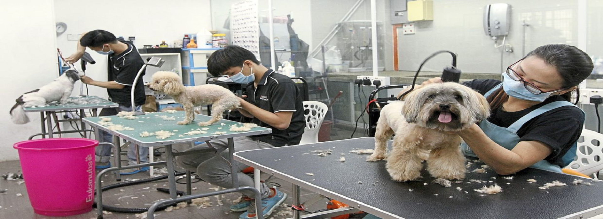 Pets Home Grooming Centre